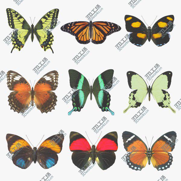 images/goods_img/20210312/Butterfly Collection 3D model/1.jpg